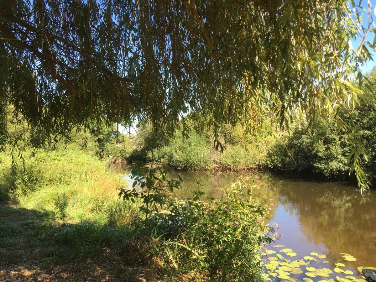 Les Bruyeres Gite Montbron エクステリア 写真