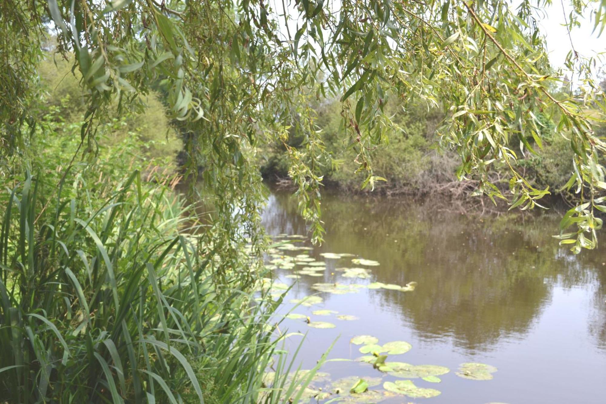 Les Bruyeres Gite Montbron エクステリア 写真