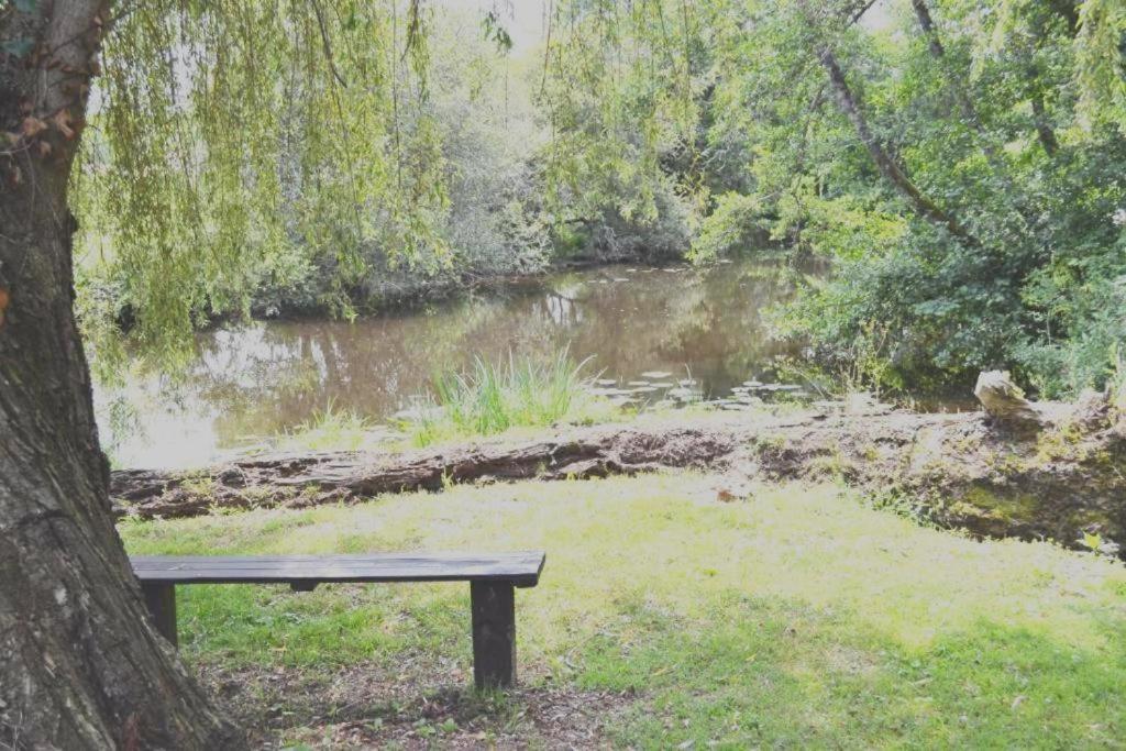 Les Bruyeres Gite Montbron エクステリア 写真